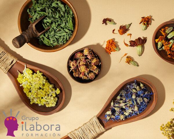 Introducción a las Plantas Medicinales