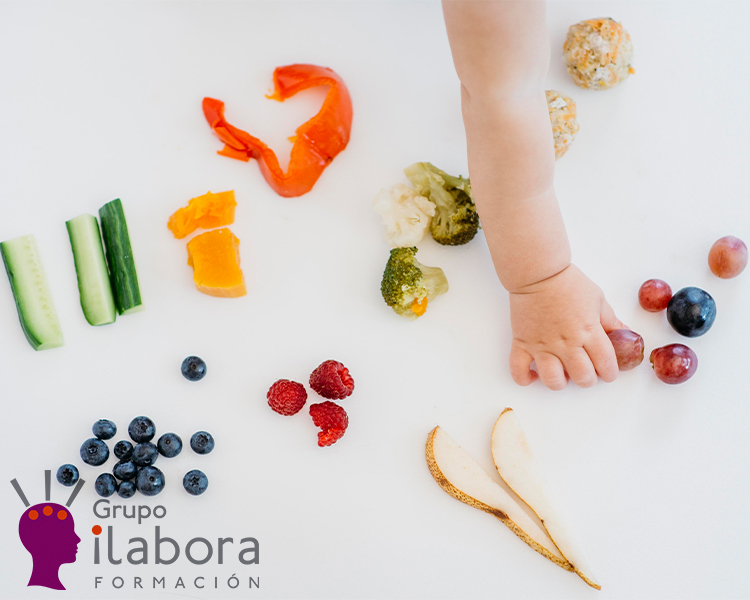 Nutrición durante el primer año de vida