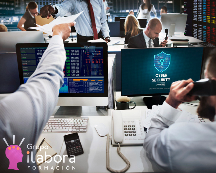 Ciber Riesgos y Seguros