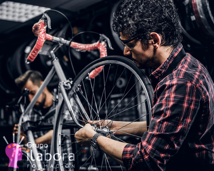 Mecánica de Bicicletas