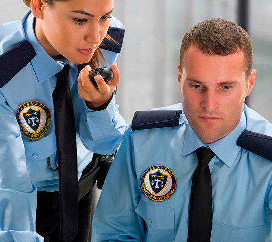 Curso Presencial de Vigilancia en Centros de Internamiento y Dependencias de Seguridad