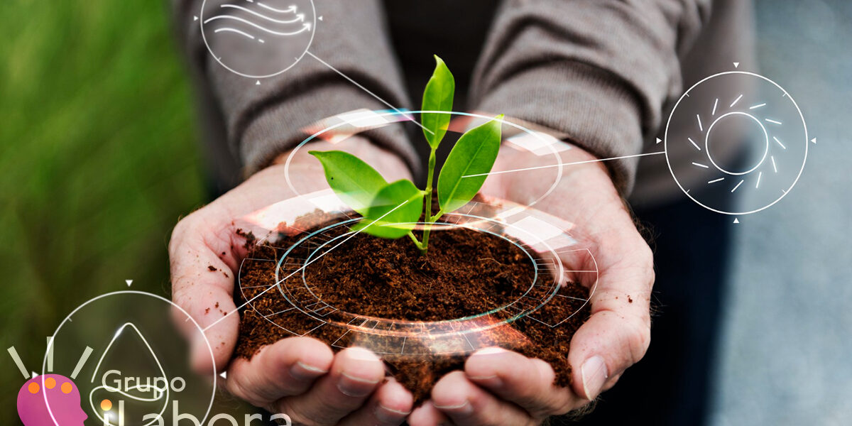 Curso de Agricultura Ecológica: Fertilización, Suelos y Cultivos