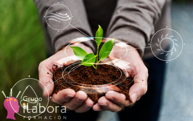 Curso de Agricultura Ecológica: Fertilización, Suelos y Cultivos Curso de Agricultura Ecológica: Fertilización, Suelos y Cultivos