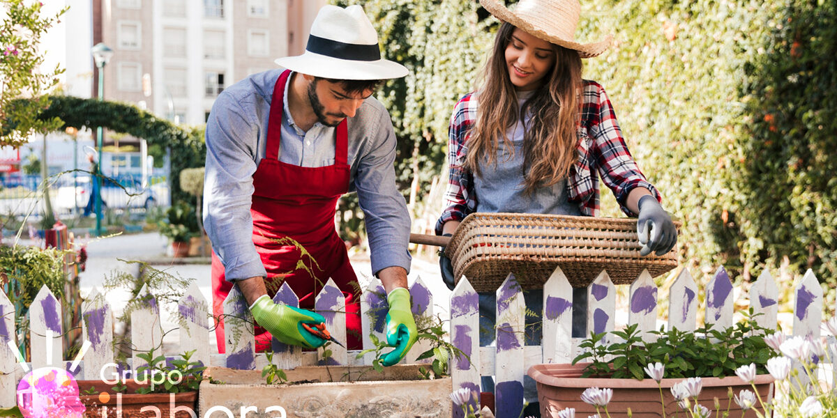 Huerto Urbano Ecológico: Cultivando la Sostenibilidad en la Ciudad Huerto Urbano Ecológico: Cultivando la Sostenibilidad en la Ciudad