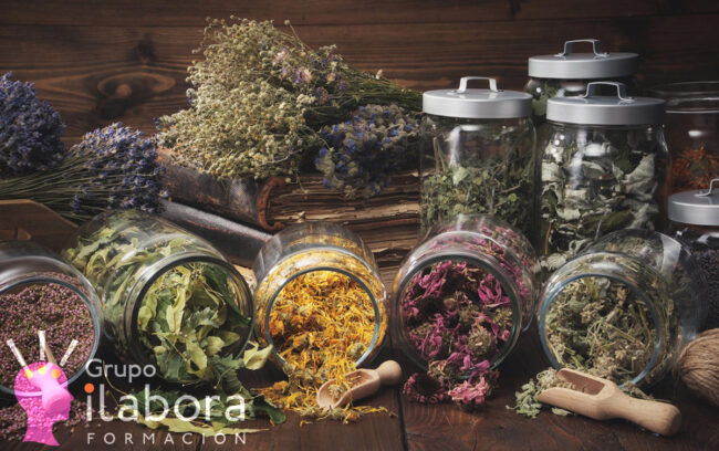 Plantas 2 Plantas 2