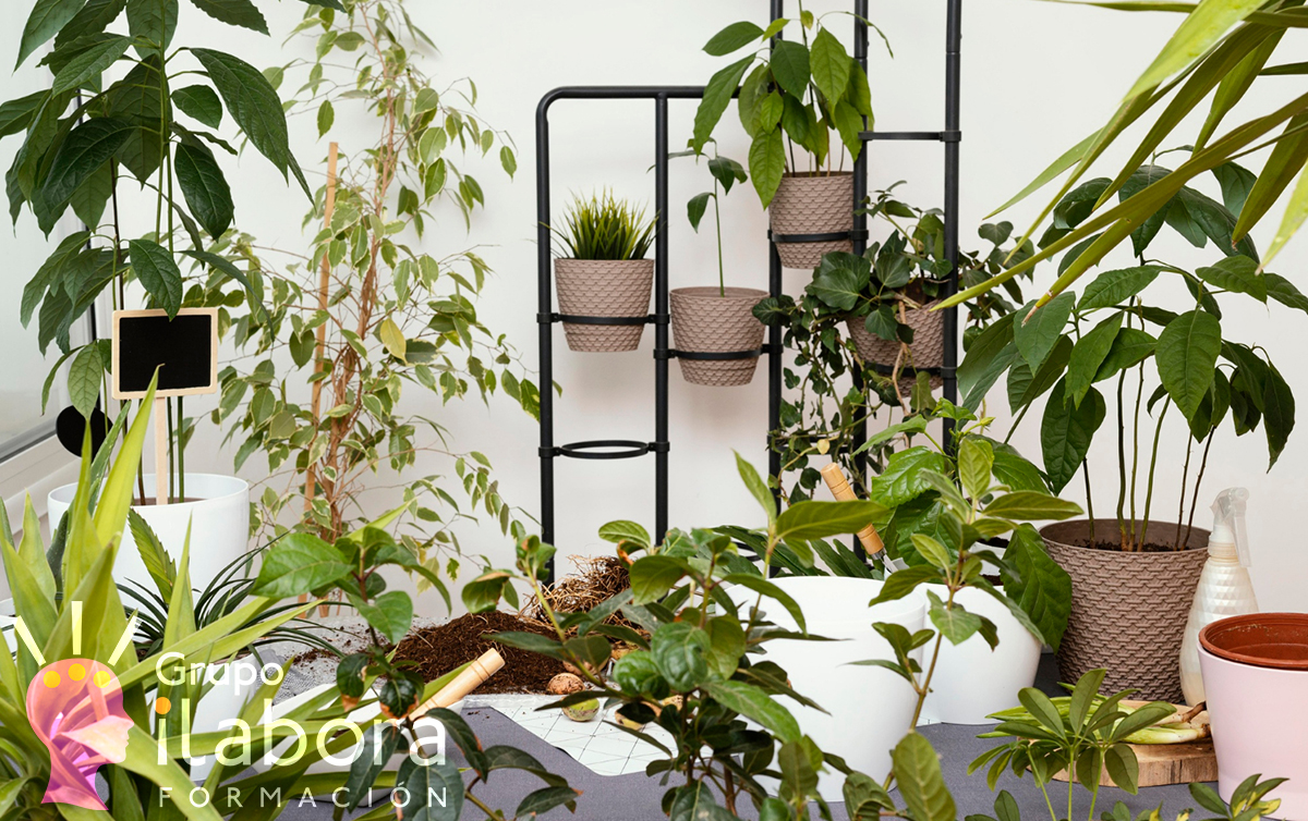 Jardinería