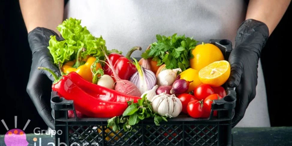 manipulador de alimentos manipulador de alimentos